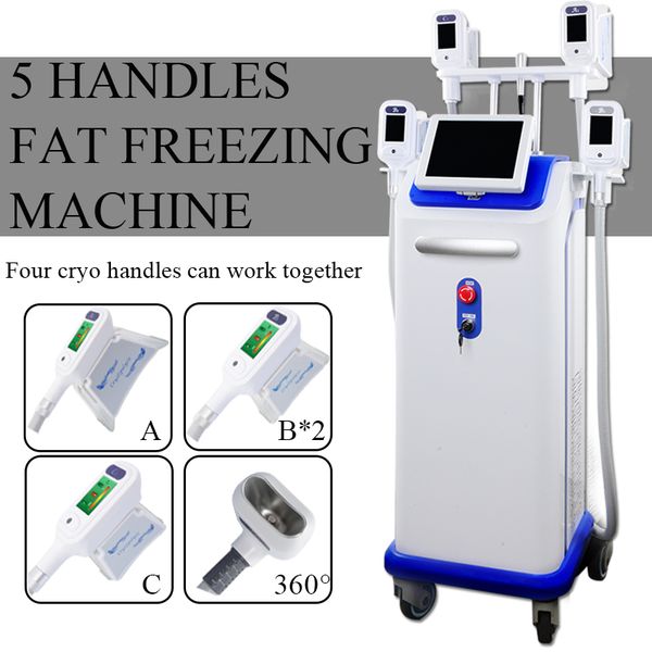 2020 нового прибытия жир замораживания формы cryolipolysis машины для похудения криотерапии тела 5 cyro ручки для похудения машины 
2020 нового прибытия жир замораживания формы cryolipolysis машины для похудения криотерапии тела 5 cyro ручки для похудения машины