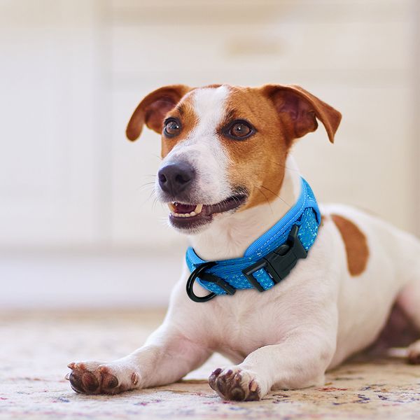 soft padded dog collar thick wide pet dog collars adjustable for medium large dogs beagle pug pink black blue s m l petshop
soft padded dog collar thick wide pet dog collars adjustable for medium large dogs beagle pug pink black blue s m l petshop