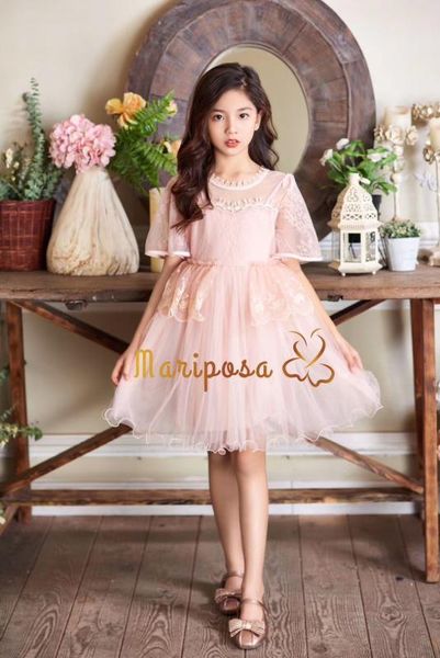 6510 layers lace embroidery princess baby girl dress 2020 new summer party wedding kid dress for girl wholesale child clothes, Red;yellow
6510 layers lace embroidery princess baby girl dress 2020 new summer party wedding kid dress for girl wholesale child clothes, Red;yellow