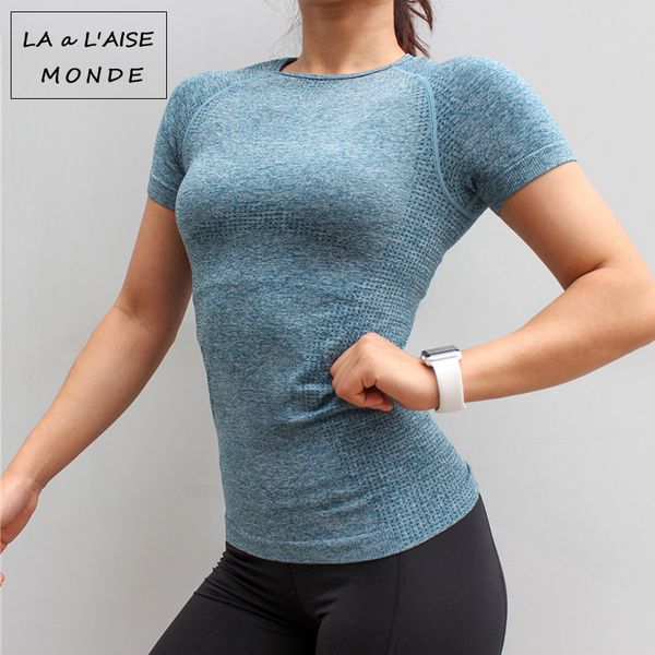 fitness women seamless sport shirt sports wear for women gym running short sleeve yoga workout training sports, White;red
fitness women seamless sport shirt sports wear for women gym running short sleeve yoga workout training sports, White;red