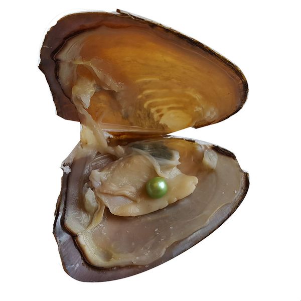 30 pieces/lot 7-8 mm freshwater oyster with single pearls mixed 28 colors pearl in vacuum package for jewelry gift, White
30 pieces/lot 7-8 mm freshwater oyster with single pearls mixed 28 colors pearl in vacuum package for jewelry gift, White