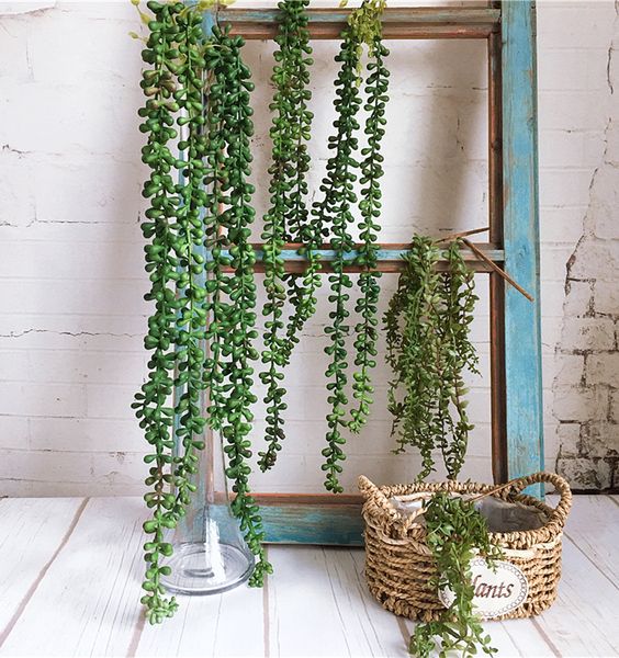 2019 new wall hanging teardrop succulents vine plante artificielle rattan for home garden decoration soft plastic fake plants
2019 new wall hanging teardrop succulents vine plante artificielle rattan for home garden decoration soft plastic fake plants