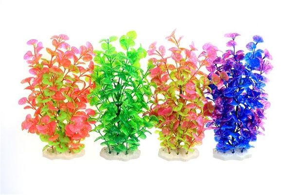 2019 new 8cm * 26cm pe material pine strip aquatic plant aquarium decoration underwater creature fish tank green plant 
2019 new 8cm * 26cm pe material pine strip aquatic plant aquarium decoration underwater creature fish tank green plant