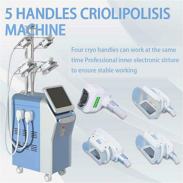 портативные 360 ° 5 cryo ручка двойного подбородок удаление жира замораживание cryolipolysis целлюлит прохладных технологии похудение машины
портативные 360 ° 5 cryo ручка двойного подбородок удаление жира замораживание cryolipolysis целлюлит прохладных технологии похудение машины