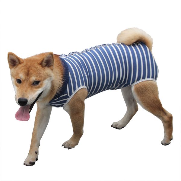 fashion soft dog surgery clothes medical pet surgical suit dog shirt coat vest products for pet 2020 #5
fashion soft dog surgery clothes medical pet surgical suit dog shirt coat vest products for pet 2020 #5