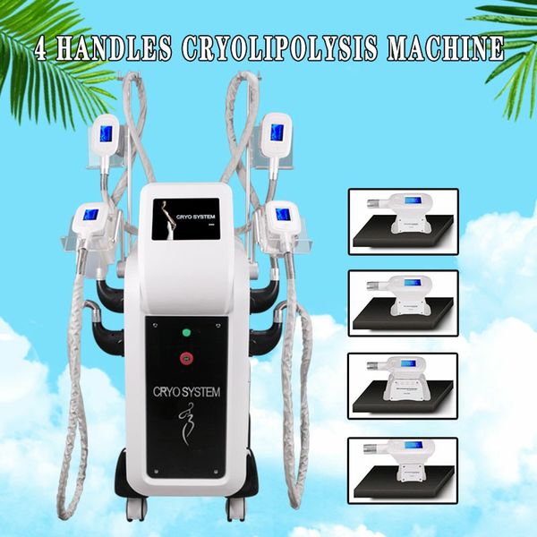 оптовая высокое качество cryolipolysis 4 крио головы замораживание жира машина для похудения скульптуры тела для похудения венера ce утвержд
оптовая высокое качество cryolipolysis 4 крио головы замораживание жира машина для похудения скульптуры тела для похудения венера ce утвержд