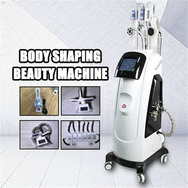 new style 2 cryo handles fat ing liposuction laser cryotherapy lipo fat ing cryo machine for slimming ce approved
new style 2 cryo handles fat ing liposuction laser cryotherapy lipo fat ing cryo machine for slimming ce approved