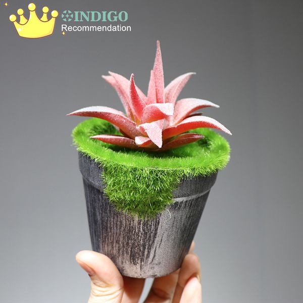indigo - artificial succulent plant with vase plastic flower bonsai green plant table decoration greenery ing
indigo - artificial succulent plant with vase plastic flower bonsai green plant table decoration greenery ing