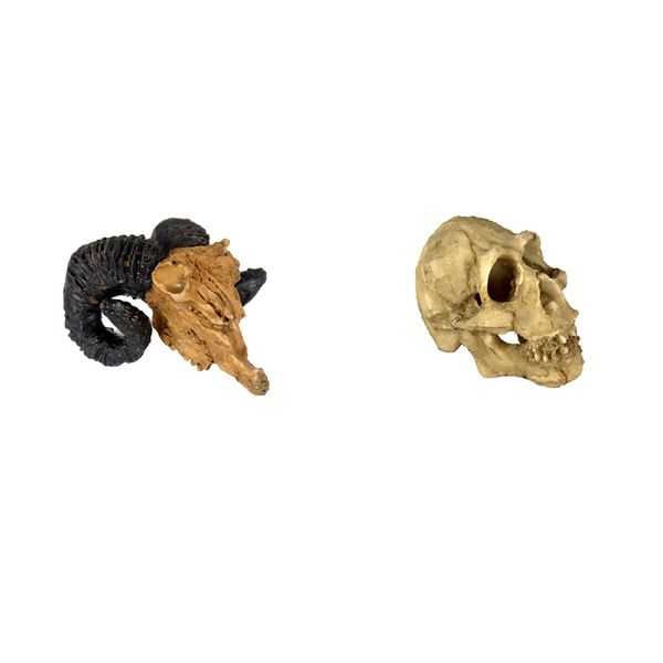 2x рептилия террариум украшения череп голова скрыть пещеру для змеи черепахи ящерицы 
2x рептилия террариум украшения череп голова скрыть пещеру для змеи черепахи ящерицы