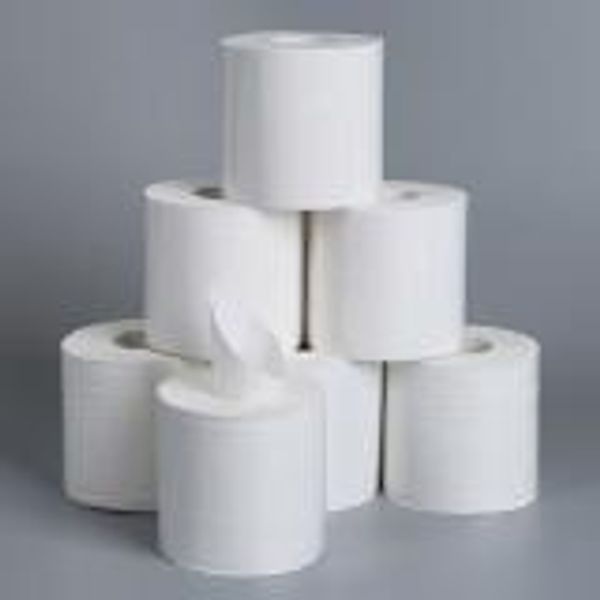 10/24 rolls 4 ply bathroom tissue wood pulp restaurant soft toilet paper l
10/24 rolls 4 ply bathroom tissue wood pulp restaurant soft toilet paper l