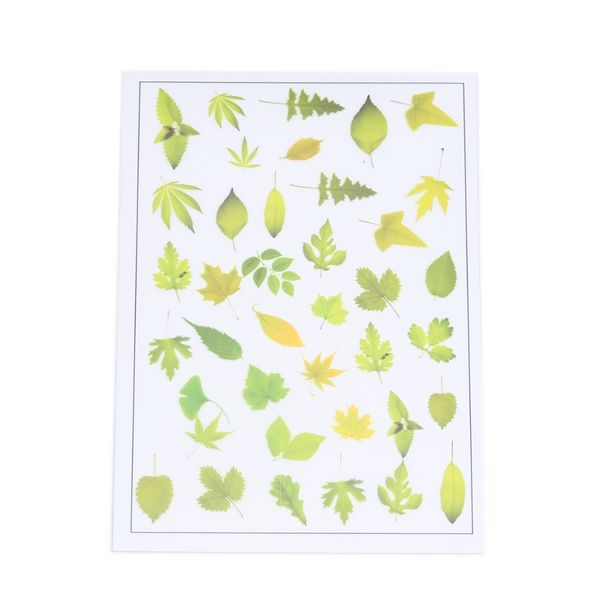 2pcs simulation resin decorative sticker micro landscape diy mold badge pendant making sticker flower plants leaves handmade other event
2pcs simulation resin decorative sticker micro landscape diy mold badge pendant making sticker flower plants leaves handmade other event