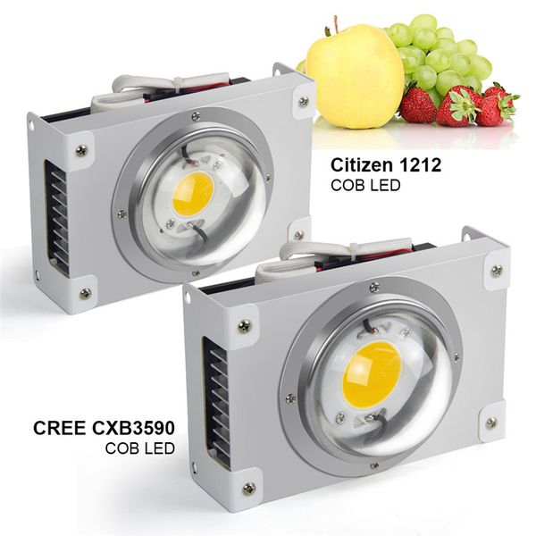factory price for greenhouse used grow lights sale high power 300w cxb3590 full spectrum led grow lights
factory price for greenhouse used grow lights sale high power 300w cxb3590 full spectrum led grow lights