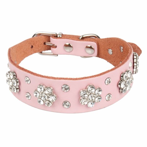 genuine leather small dogs collars pet puppy supplies rhinestone animals accessories for cat collar necklace halsband hond leer
genuine leather small dogs collars pet puppy supplies rhinestone animals accessories for cat collar necklace halsband hond leer