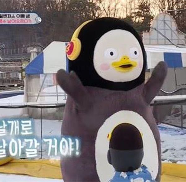 оптовая смазливая пингвин плюшевые подушки kpop pengsoo подушки kawaii чучела игрушки для детей девочек подарок
оптовая смазливая пингвин плюшевые подушки kpop pengsoo подушки kawaii чучела игрушки для детей девочек подарок