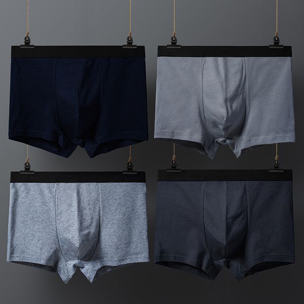men's knicker men's underwear knicker 2020 autumn and winter new style boxers pure cotton breathable shorts four corners large s, Black;white
men's knicker men's underwear knicker 2020 autumn and winter new style boxers pure cotton breathable shorts four corners large s, Black;white