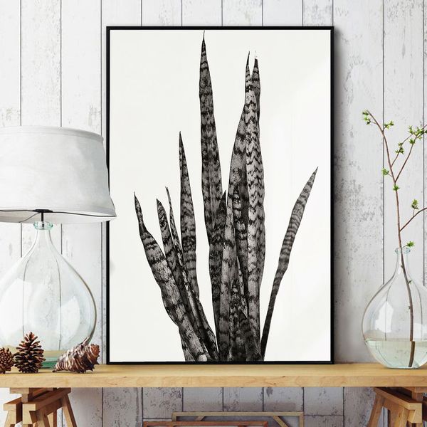 sansevieria trifasciata posters prints plant poster nordic wall art fashion canvas painting modern wall pictures for living room
sansevieria trifasciata posters prints plant poster nordic wall art fashion canvas painting modern wall pictures for living room