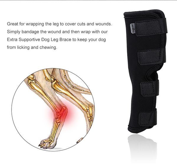 dog canine rear leg knee brace hock joint wrap for heals and prevents injuries and sprains helps with loss of stability (s-xl
dog canine rear leg knee brace hock joint wrap for heals and prevents injuries and sprains helps with loss of stability (s-xl