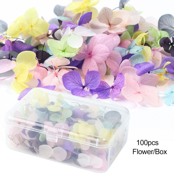 dried flowers nail art decoration diy natural pressed flora gel manicure stickers hydrangea leaf 3d nail decor, Silver;gold
dried flowers nail art decoration diy natural pressed flora gel manicure stickers hydrangea leaf 3d nail decor, Silver;gold