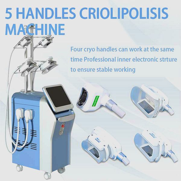 2020 360 ° cryolipolysis машина охлаждения cryolipolysis для похудения fat замораживание похудения машина 5 крио ручки ce документарной
2020 360 ° cryolipolysis машина охлаждения cryolipolysis для похудения fat замораживание похудения машина 5 крио ручки ce документарной