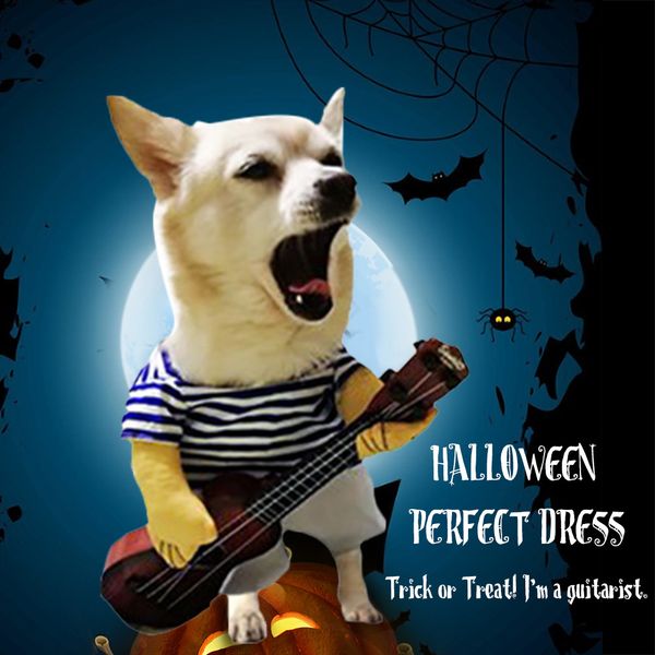 pet guitar costume dog guitarist player pet halloween costume pet dog cosplay clothes decoration halloween dress up for dogs
pet guitar costume dog guitarist player pet halloween costume pet dog cosplay clothes decoration halloween dress up for dogs