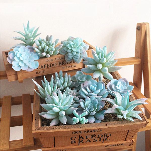 artificial blue flocking succulents plants home garden decoration deskbonsai diy wedding plants wall plante artificielle
artificial blue flocking succulents plants home garden decoration deskbonsai diy wedding plants wall plante artificielle