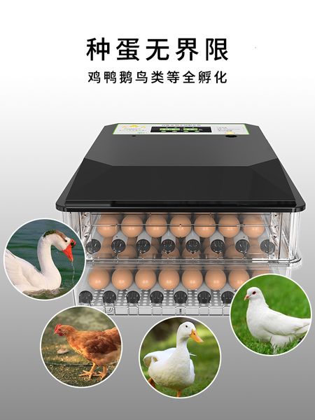automatic all-in-one egg incubator controller chicken duck goose one-button operation couveuse clarity thermostat for
automatic all-in-one egg incubator controller chicken duck goose one-button operation couveuse clarity thermostat for
