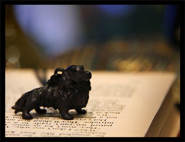 g.sky retro hippie dachshund necklace fashion cute dachshund pendant jewelry antique silver/bronze/gun black plated10pcs/lot
g.sky retro hippie dachshund necklace fashion cute dachshund pendant jewelry antique silver/bronze/gun black plated10pcs/lot