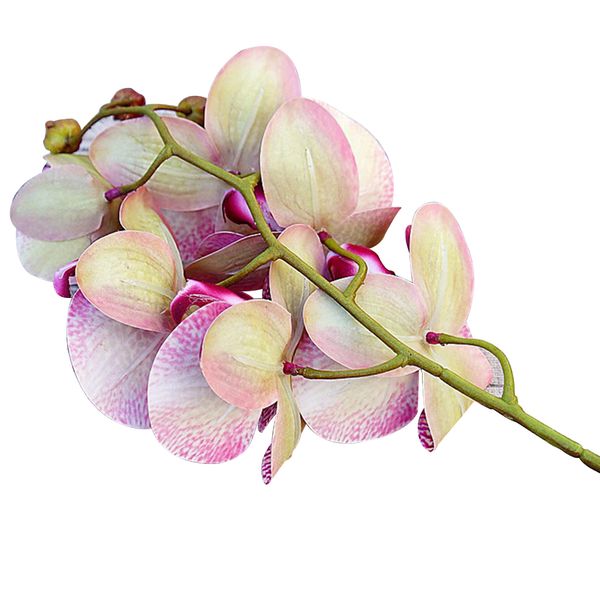 gift store butterfly orchid diy vivid artificial flower party home fake simulation wedding decoration craft accessories pu
gift store butterfly orchid diy vivid artificial flower party home fake simulation wedding decoration craft accessories pu