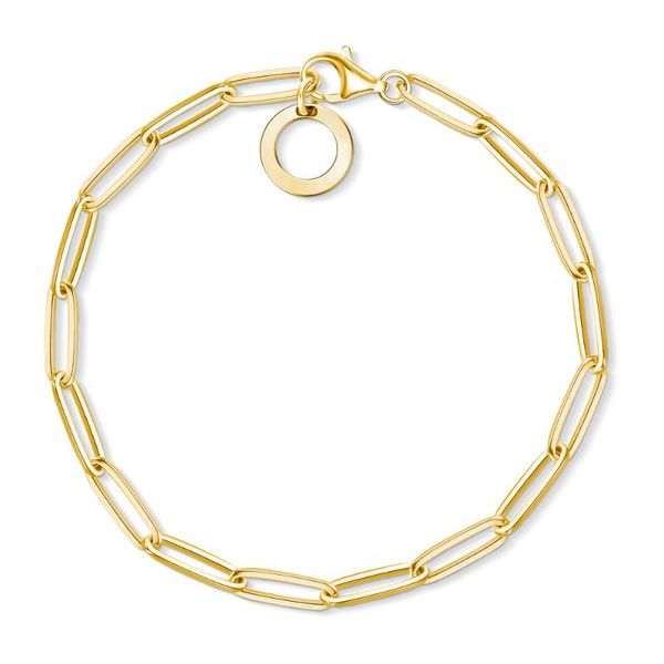 6mm link chain charm bracelets bangles carrier 925 sterling silver gold fashion good jewelry accessories gifts women men, Golden;silver
6mm link chain charm bracelets bangles carrier 925 sterling silver gold fashion good jewelry accessories gifts women men, Golden;silver