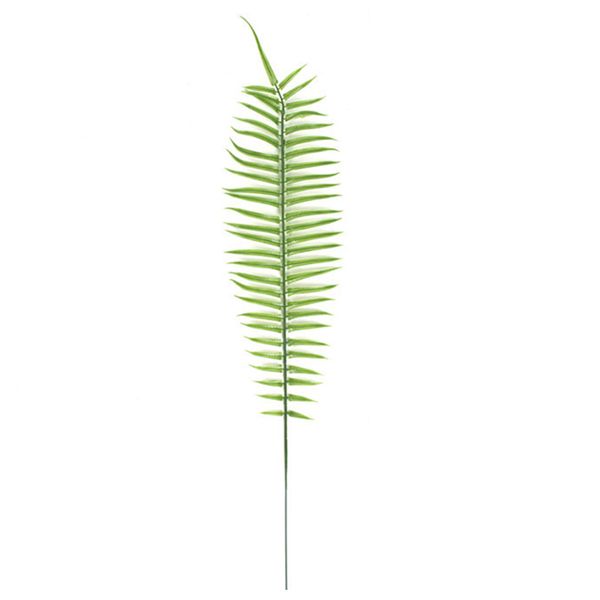 икђвенне одно оделение simulation пеѬидкой grass fern phoenix fern leaf плаиковй
икђвенне одно оделение simulation пеѬидкой grass fern phoenix fern leaf плаиковй