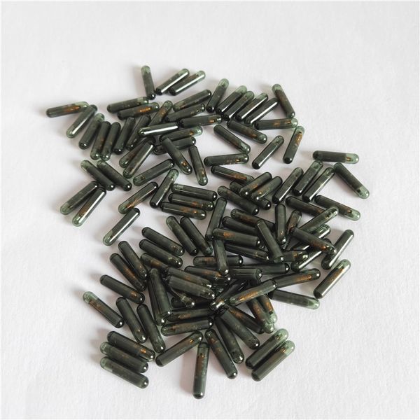 10pcs/lot cn6 id48 chip for mini cn900 car transponder 48 chip glass blank for nd900 key programmer copy car key
10pcs/lot cn6 id48 chip for mini cn900 car transponder 48 chip glass blank for nd900 key programmer copy car key