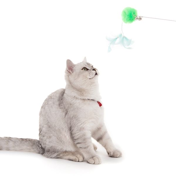 9 стиля cat забавного интерактивного rod teaser wand рыбалка перо придерживайтесь pet игрушка для котенка дропшип worldwide cat поставки дру
9 стиля cat забавного интерактивного rod teaser wand рыбалка перо придерживайтесь pet игрушка для котенка дропшип worldwide cat поставки дру