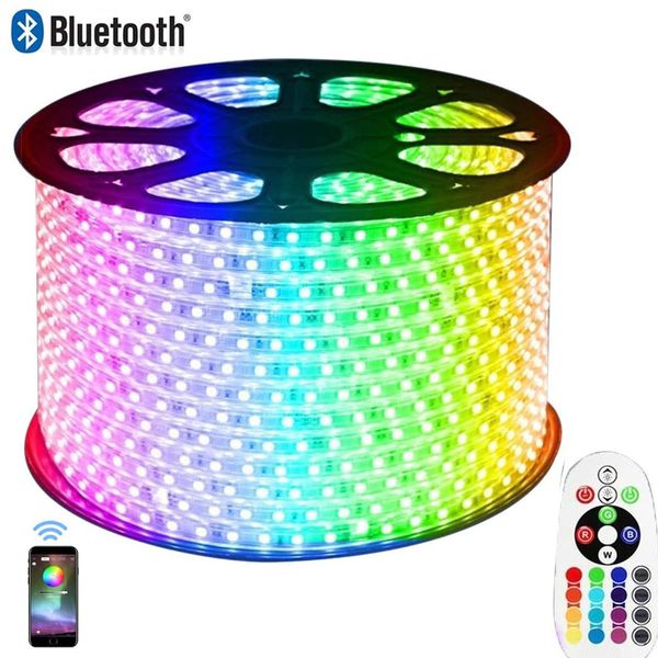 led strips, bluetooth app rgb strip light, flexible 220v color changing waterproof dimmable rope lights with remote 60led/m for building out
led strips, bluetooth app rgb strip light, flexible 220v color changing waterproof dimmable rope lights with remote 60led/m for building out