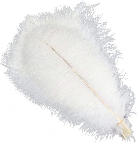 11 colors per lot 10-12 inch white ostrich feather plume craft supplies wedding party table centerpieces decoration ing
11 colors per lot 10-12 inch white ostrich feather plume craft supplies wedding party table centerpieces decoration ing