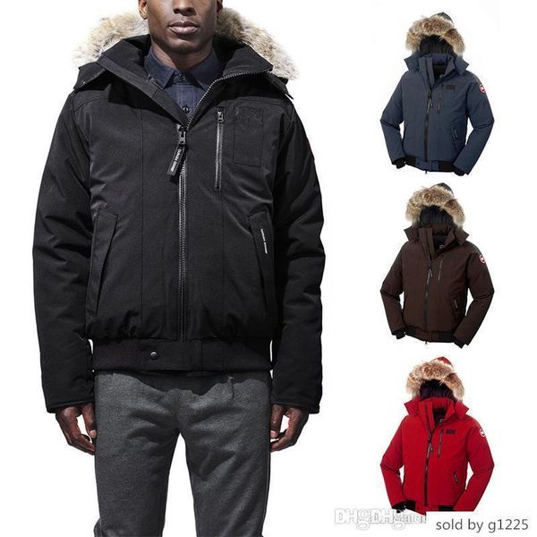 dhl canada classic down jacket for new coyote fur middle style coat winter warm goose borden-bomber men parka
dhl canada classic down jacket for new coyote fur middle style coat winter warm goose borden-bomber men parka