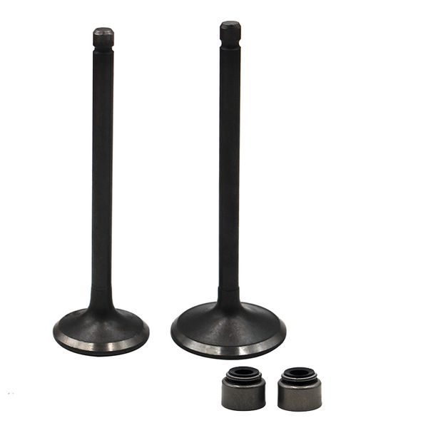 motorcycle intake & exhaust valve kit stem for yamaha ybr250-r230 tw200e tw225er225-r225 xg250 tricker xt225 serow
motorcycle intake & exhaust valve kit stem for yamaha ybr250-r230 tw200e tw225er225-r225 xg250 tricker xt225 serow