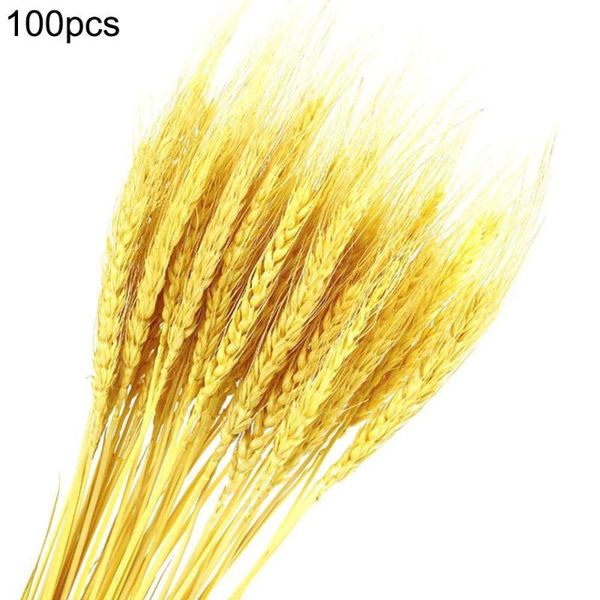 decorative flowers & wreaths 100pcs/lot wheat ear flower natural dried for wedding party decoration diy craft scrapbook home decor bouquet
decorative flowers & wreaths 100pcs/lot wheat ear flower natural dried for wedding party decoration diy craft scrapbook home decor bouquet