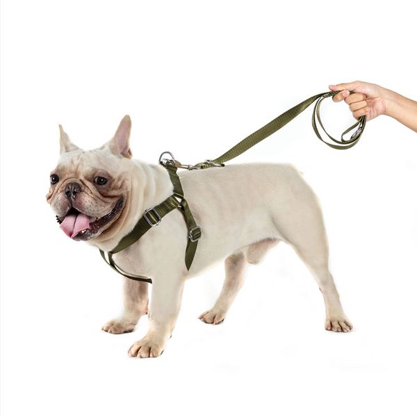 onetigris tactical dog vest and leash set with metal clips for service dog nylon training harness & leash set, Camo;black
onetigris tactical dog vest and leash set with metal clips for service dog nylon training harness & leash set, Camo;black