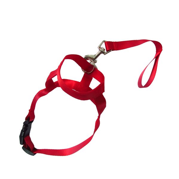 dog mouth muzzle adjustable head collar walk training loop spulling halter pet accessories 669 dog training obedience
dog mouth muzzle adjustable head collar walk training loop spulling halter pet accessories 669 dog training obedience