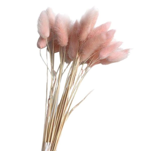 30pcs/lot gradient lagurus ovatus natural dried flowers bouquet wedding home decoration tail grass real flowers
30pcs/lot gradient lagurus ovatus natural dried flowers bouquet wedding home decoration tail grass real flowers