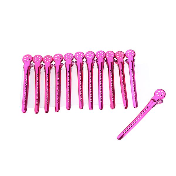 12pcs salon metal hair clips professional sectioning curling grips hairdressing tools kit, Brown
12pcs salon metal hair clips professional sectioning curling grips hairdressing tools kit, Brown