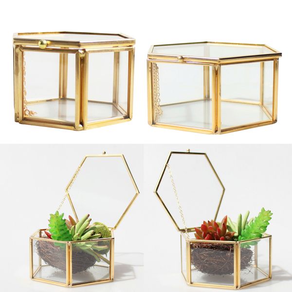 2pcs modern diy glass geometric terrarium tablesucculent plant display box clear open decorative planter fern moss
2pcs modern diy glass geometric terrarium tablesucculent plant display box clear open decorative planter fern moss