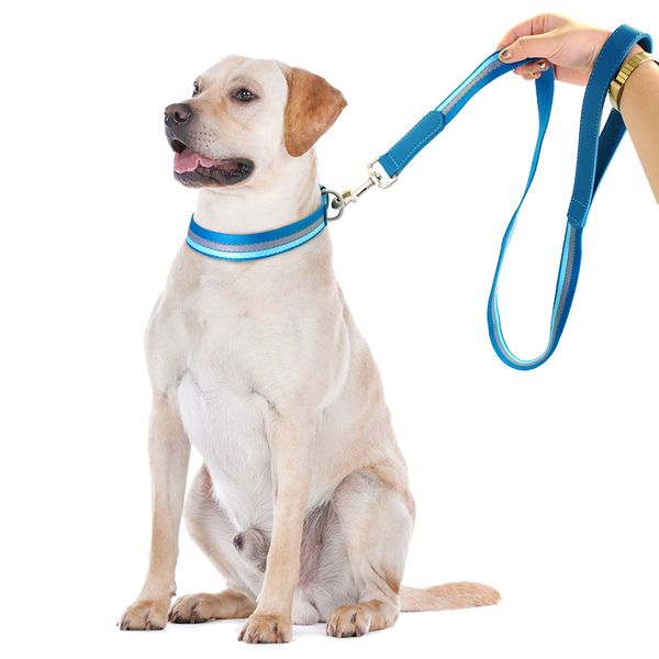 nylon weimaraner dog collar and leash set adjustable reflective strip dog collars and pet walking lead leash for small medium dogs pitbull
nylon weimaraner dog collar and leash set adjustable reflective strip dog collars and pet walking lead leash for small medium dogs pitbull
