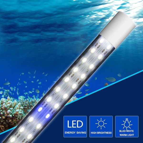 wide-angle led aquarium lighting with white/white+blue/red bar submersible waterproof clip lamp for fish tank
wide-angle led aquarium lighting with white/white+blue/red bar submersible waterproof clip lamp for fish tank
