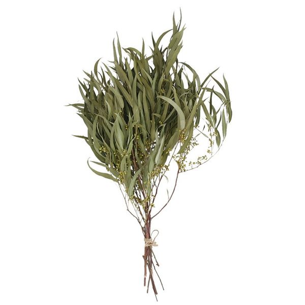 10 stems eucalyptus branches slender leaves dried natural flower arrangement decor no vase
10 stems eucalyptus branches slender leaves dried natural flower arrangement decor no vase