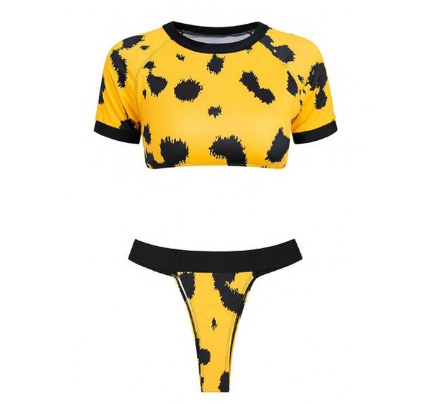 Bikini Sports swimwear 2019 women bathing suit Brazilian thong 2 Piece High Cut swimsuit Push up two-piece suit new 24pcs
Bikini Sports swimwear 2019 women bathing suit Brazilian thong 2 Piece High Cut swimsuit Push up two-piece suit new 24pcs