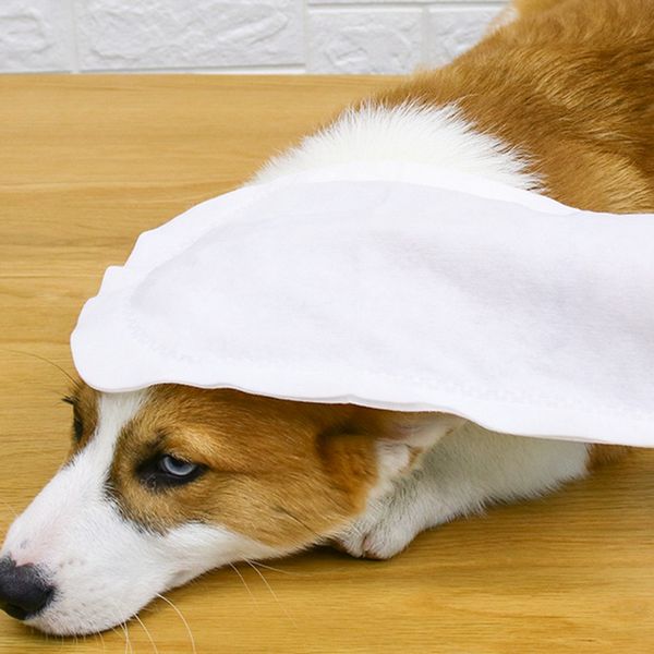 professional pet grooming wipes washing towel disposable gloves cat dog cleaning brushing wipes hypoallergenic fresh towel
professional pet grooming wipes washing towel disposable gloves cat dog cleaning brushing wipes hypoallergenic fresh towel