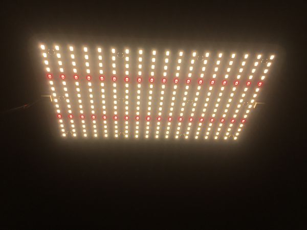 сид растет светлым 150w samsung 301b mingwo hlg qb288 полный спектр +660nm вместо солнечного света и hps
сид растет светлым 150w samsung 301b mingwo hlg qb288 полный спектр +660nm вместо солнечного света и hps