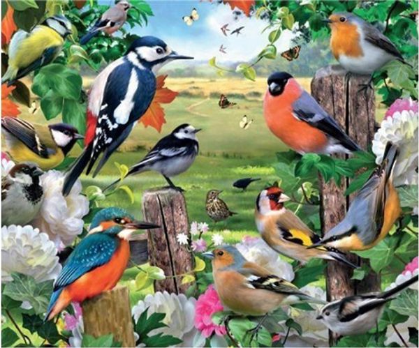 Full Square/Round Drill 5D DIY Diamond Painting "bird" Embroidery Cross Stitch Mosaic Home Decor Art Experience toys Gift A0661
Full Square/Round Drill 5D DIY Diamond Painting "bird" Embroidery Cross Stitch Mosaic Home Decor Art Experience toys Gift A0661