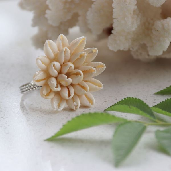 10pcs/lot)16 styles shell flower napkin rings natural shell napkin holders coastal beach house table decor 
10pcs/lot)16 styles shell flower napkin rings natural shell napkin holders coastal beach house table decor